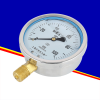 Đồng hồ đo áp suất YN100
